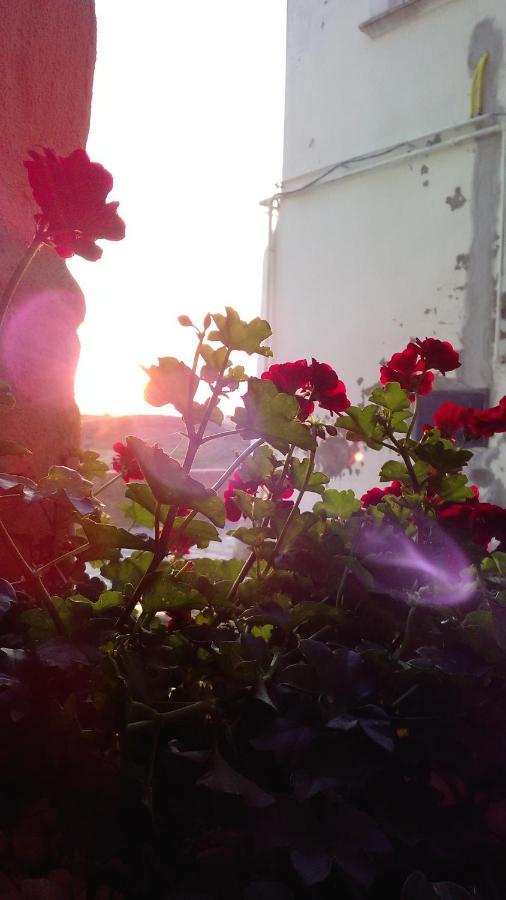 Le Antiche Mura Irsina Bagian luar foto