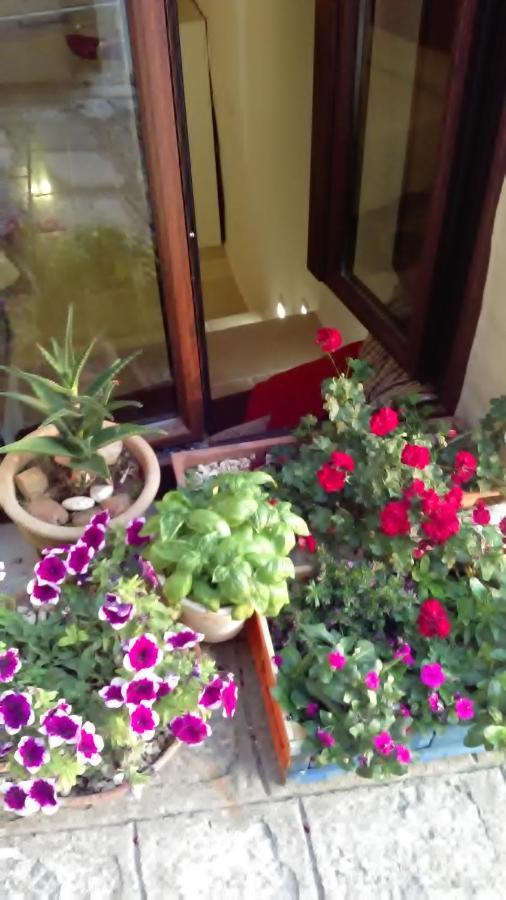 Le Antiche Mura Irsina Bagian luar foto