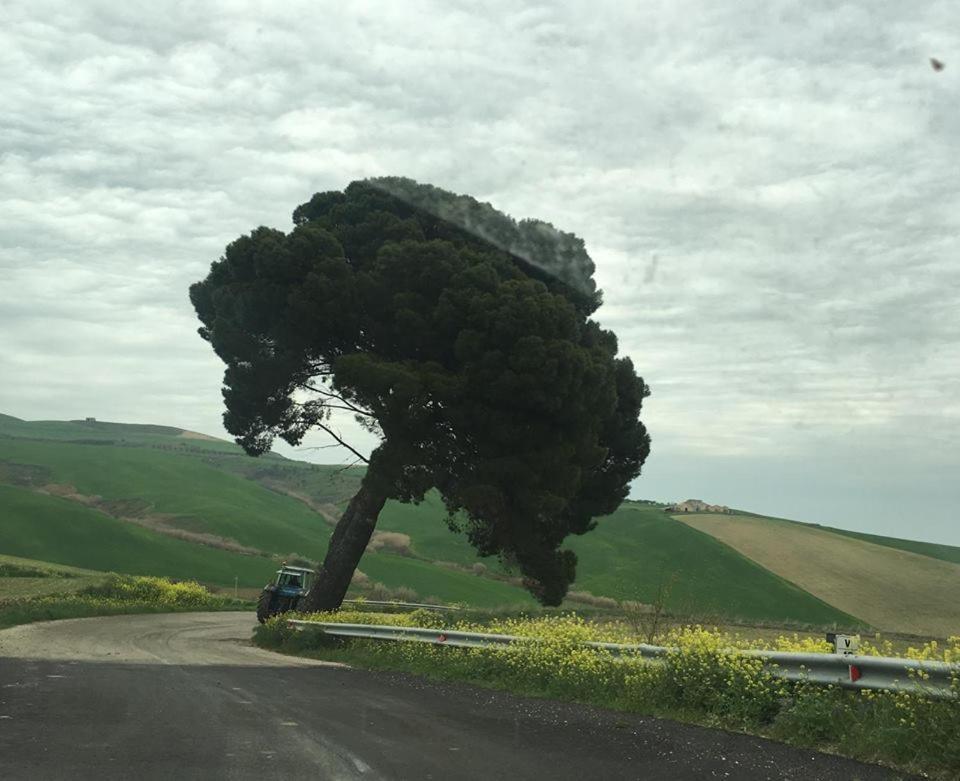 Le Antiche Mura Irsina Bagian luar foto